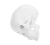 Zerodeko Mini Skull Model Realistic Anatomical Human Skull Decoration Detachable Plastic Skeleton for Medical Teaching and Halloween Displays White Color