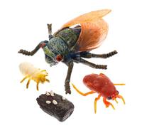 Zerodeko Simulation Cicada Growth Cycle Model for Educational Faux Animal Decor Plastic Craft Figures Stimulate Imagination and Learning