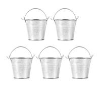Zerodeko Small Tin Buckets 5 Pack Mini Iron Flower Pots with Handles for Succulents Balcony Gardening and Florist Display Nordic Style Compact Containers