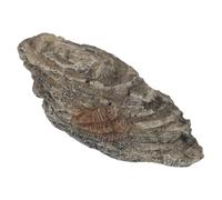 Zerodeko Trilobite Resin Insect Specimen for Reptile Habitat with Educational Value and Realistic Brown Design, for Science Education and Reptile Tank Decor in Living Spaces