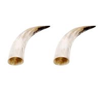 Zerodeko Vintage Horn Shaped Flower Vase Wall Mounted Horn Vase Home Decor Retro Wall Decor Flower Arrangement for Desktop Table and Display 12.20 in 2 Pcs