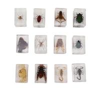 Zerodis 12 Transparent Specimens Collection Set for Kids, Prime Material, Restore the Real, Handmade with 12 Styles for Scientific Education Toy