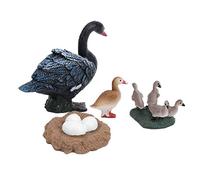Zerodis 4 Stage Growth Cycle Model Toy Animals Duck Life Cycle Models Interactive Learning Educational Toy for Children Kids Toddler(#2)