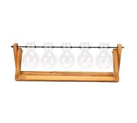 Zerodis 5 Glass Bulb Plant Propagation Station with Wooden Stand Retro Tabletop Decor for Home Office Indoor Gardening (Vintage Five Bottles)