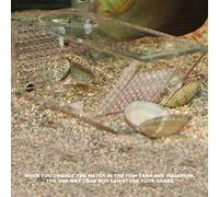 Zerodis Acrylic Aquarium Fish Tank Crab Trap, Transparent One Way Valve Design for Easy Observation and Catching, with Non Material for Crabs Shrimp and Living Things