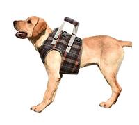 Zerodis Adjustable Dog Lift Harness with Breathable Mesh Sling for Disabled Elderly Dogs, Pet Walking Aids (M (12.5-20kg / 27.6-44.1lb Recommended))