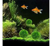 Zerodis Aquarium Hatching Supplies Grass Ball Artificial Green Water Plants For Fish Tank Decorative Seaweed Ball Durable Pe Material Ideal For Home And Office Aquariums Plastic (large)
