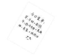 Zerodis Magnetic Refrigerator Note Sticker Erasable Whiteboard Memo Board A3 Size 42x30cm for Fridge Door with Pen PET Film Reusable (Blank Message Board)