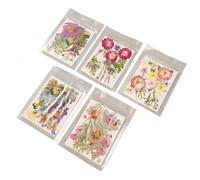 Zerodis Pressed Flowers 100 Pieces 5 Bags Vibrant Colors for Resin Jewelry Nail Art Scrapbooking Wedding Invitations with Assorted Styles Premium Design (Type 2)