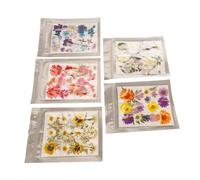 Zerodis Pressed Flowers 100 Pieces 5 Bags Vibrant Colors for Resin Jewelry Nail Art Scrapbooking Wedding Invitations with Assorted Styles Premium Design (Type 1)