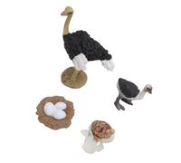 Zerodis Realistic Ostriches Model Educational Toys to Learn the Life Cycle of Children's Animals, PVC Material Toys Figures for Children