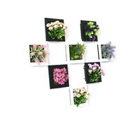 Zerodis Simulation Plant Photo Frame Realistic 3D Decoration for Home Office Hotel Durable Plastic PVC Foam Material (Assorted Color #10)