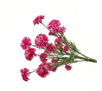 Zeroupshop Artificial Silk Carnations with Stems, Realistic Red Fake Flowers for Home Decor, Wedding Centerpieces, Mother's Day, Anniversary, No Maintenance Needed, 43cm(Fuchsia)