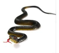 Zeroupshop Realistic Rubber Snake Toy 45 cm Long Black Fake Snake Prop for Funny Gag Toy, Garden Decor Prank Pressure Relief Halloween Party Gag
