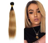 Zeslaerr 1B/27 Ombre Brown Colour Real Hair Wig Bundles Human Hair Extensions 8A Grade Unprocessed Brazilian Virgin Human Hair Straight Bundles No Weft Knotless for Women 14 Inches
