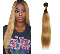 Zeslaerr 1B/27 Ombre Brown Colour Real Hair Wig Bundles Human Hair Extensions 8A Grade Unprocessed Brazilian Virgin Human Hair Straight Bundles No Weft Knotless for Women 24 Inches