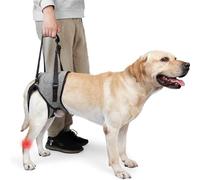 ZESTEFY Dog Lifting Harness, Dog Support Harness for Back Legs, Adjustable Dog Leg Support with Lift Handle, Portable Dog Slings for Medium Dogs, Elderly Disabled Joint Injuries Canine(L)