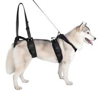 Zetapex Dog Orthopedic Lift Harness (Back, M, Black, Solid Color, Medium, Easy Lift, Hip Dysplasia, Rehabilitation, Comfortable, Sturdy, Easy Wash)