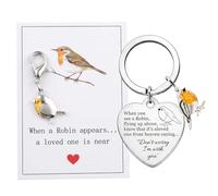Zetrifoep Robin Sympathy Gifts, 2Pcs Robins Keyring with Remembrance Card, When a Robin Appears a Loved One is Near Memorial Gift for Women Men, Bereavement Gifts for Loss of Mum, Dad and Friend