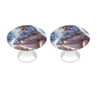 Zeus God Greek Mythology Funny Cabinet Knobs 2 Pack Round Drawer Dresser Pulls Door Handles Knobs for Door Wardrobe