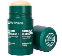 ZEW for Men Natural Stick Deodorant with Black Hub for Men 80g | Male Deodorant | 97% Natural Ingredients | Tree-Citrus Fragrance | Sweat Protection 24h