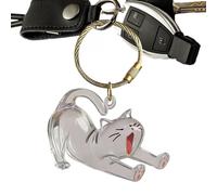 Zeyaoaea Pet Keepsake Box | Dog Cute Keepsake Hair Keyring - Memorial Acrylic Clear Pendant Key Chain for Men Charm Purse Collection Backpack Women Bag