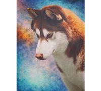 Zeyevan 5D Diamond Painting Kits for Adults Color Husky, DIY Diamond Art Kits Dog Round Rhinestone Cross Stitch Embroidery for Bedroom Living Room Office 30x40cm