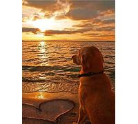 Zeyevan 5D Diamond Painting Kits for Adults Dog Love, DIY Diamond Art Kits Animal Round Rhinestone Cross Stitch Embroidery for Bedroom Living Room Office 30x40cm