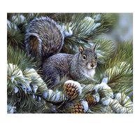 Zeyevan 5D Diamond Painting Kits for Adults Squirrel Animal, DIY Diamond Art Kits Winter Snow Round Rhinestone Cross Stitch Embroidery for Bedroom Living Room Office 12x16inch