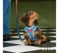 ZEZE Denim Pet Harness and Lead | Accessory size: Large (L)
