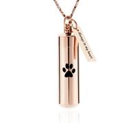 ZEZILE Cremation Jewelry Paw Print Cylinder Urn Necklace for Ashes with Glass Jar Keepsake Urn Memorial Jewelry for Women/Men