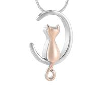 ZEZILE Moon Urn Necklace for Ashes Cat Cremation Jewelry Stainless Steel Ashes Pendant Keepsake Memorial Pet Ash Jewelry for Women Men