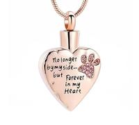 ZEZILE No Longer By My Side But Forever In My Heart Cremation Jewelry For Ashes Stainless Steel Pet Paw Keepsake Memorial Urn Necklaces