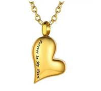ZEZILE Stainless Steel Ash Heart Pendant Necklace Forever in my heart Memorial Cremation Urn Necklaces Locket Pendants