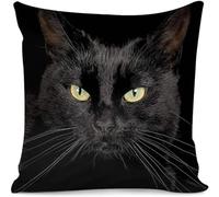ZFENGYYUAN Stylish Decorative Throw Pillow Case Covers Bedroom Sofa Living Room Pillowcases Luxury Sofa Square 18”x 18” Funny Black Cat Pattern