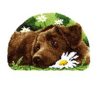 ZFFLYH Latch Hook Kits for Adults Kids Rug Tapestry Mat Kits Unique Shape Pre-Printed Pattern Crochet Yarns Embroidery Home Decoration 20X15in,Dog