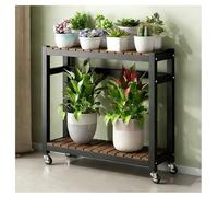 Zfmnoyev 2/3-Tier Movable Metal Wooden Plant Stand on Wheels, Large Succulent Stand with Height Adjustable, Flower Display Rack for Living Room Balcony Garden Patio(Black,100x25x80cm)