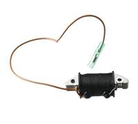 ZfOvvRe 6H3-85520-00 Coil 6H3-85520-10 Fit For Outboard 2 Stroke 50HP 60HP 70HP 6H3-85520 2T