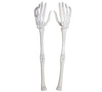 Zghhc Halloween Skull Claw Arm 1 Pair Realistic Skeleton Hands Bone Plastic Fake Human Hand Bone Scary Ornament for Halloween Decor
