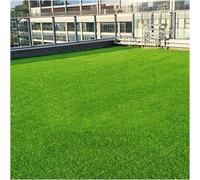 ZGHQHCDRH Premium 2 * 4m Synthetic Artificial Grass Turf for Outdoor Garden Lawn 2.5cm Thick Durable Faux Grass Mat for Patios and Landscape Decor