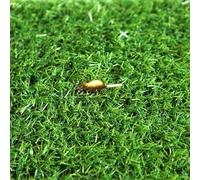ZGHQHCDRH Professional 20MM High Pile Artificial Grass Roll 200X300CM Green Turf Lawn for Dogs Indoor Outdoor Fake Grass Carpets Ideal for Door Mats 80X120CM