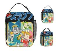 ZGHQHCDRH Tate McRae So Close to What Thermal Insulated Lunch Bag for School 2025 Album Portable Food Bag Thermal Cooler Lunch Box