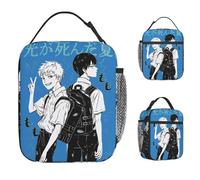 ZGHQHCDRH The Summer Hikaru Died Lunch Bag Picnic Lunch Box Women Aesthetic Print Thermal Tote Handbags Waterproof Convenient Cooler Bag