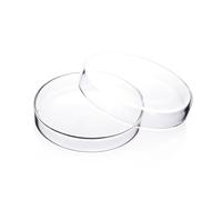 ZGHSWM 20 pieces/pack 60mm Disposable Plastic Petri Dish Laboratory Equipment Culture Dish