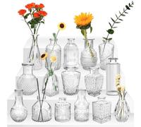 ZgoEC Glass Bud Vases Set of 16, Small Vases for Flowers, Mini Glassvases Table Decoration, Clear Mini Bud Vase in Bulk, Vintage Flowervase for Centerpieces, Home Decor Wedding Reception