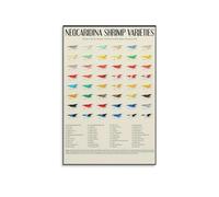 ZGPOSQKZSC Neocaridina Shrimp Species Chart Color Varieties Identification Guide Educational Metal Sign for Fish Tank 8 X 12 in