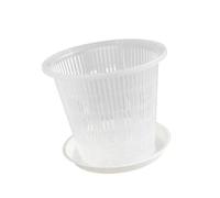 ZGUZMCMK Clear, Ventilated Pot with Included Tray. High Breathability, Lightweight Material, Easy Maintenance, Efficient Drainage. Suitable for Indoor G, Multi, 16cm