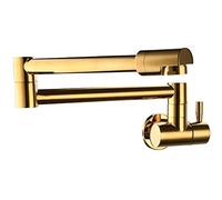 ZH1YFD Wall Mounted Kitchen Brass Sink Tap with Extendable Dual Joint Swivel Arm ° Single Handle Elegant Gold Finish for Kitchens