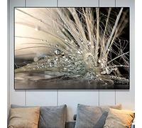 Zhadongli Art Morning Water Beads Canvas Painting Water Drops After Rain Posters and Print Beautiful Lanscape Wall Picture Room Decor 70x100cm(28x39in) Withframe