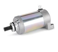 ZHANFEIS For Raptor 250 For Yfm250 2008 2009 2010 2011 2012 2013 19639 3C5-81890-00-00 Starter Motor Electric Starter Motor